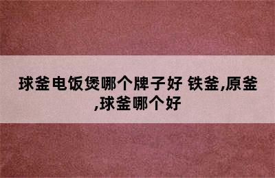 球釜电饭煲哪个牌子好 铁釜,原釜,球釜哪个好